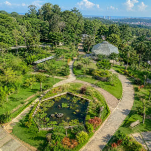 kebun raya balikpapan